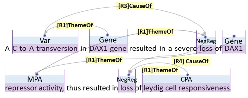 guideline image